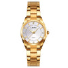 New Arrival Luxury Gold Stainless Steel Watches Bellissimo Deals