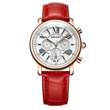 Roman Numerals Quartz Watch Bellissimo Deals