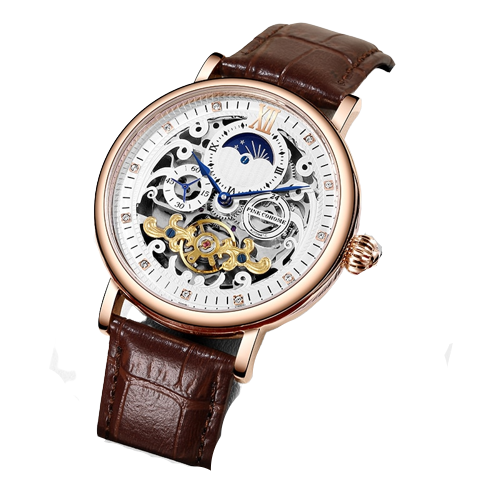 Thin Case Luxury Tourbillon Skeleton Wristwatch Bellissimo Deals